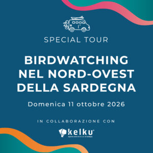 Special tour: Birdwatching nel nord-ovest della Sardegna